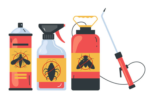 Best Affordable Pest Control Services  in Camp Swift, TX