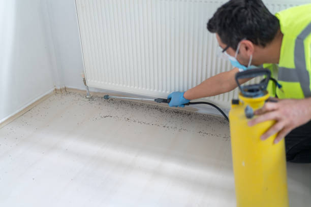 Best Best Pest Control Companies  in Camp Swift, TX